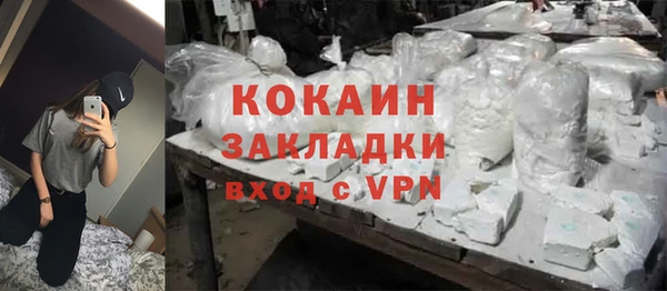 хмурый Новозыбков