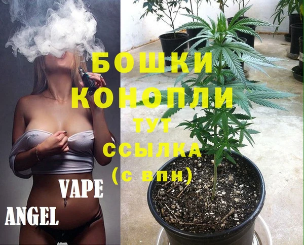 хмурый Новозыбков