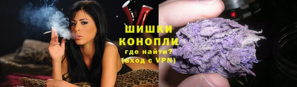 хмурый Новозыбков