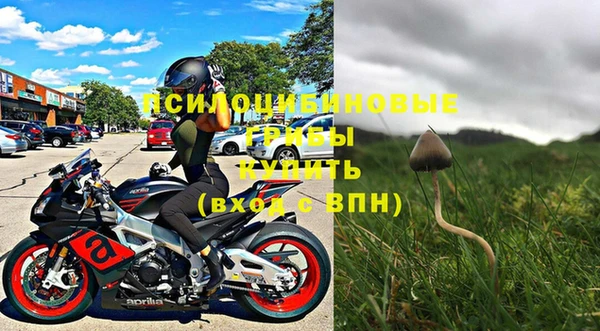 хмурый Новозыбков