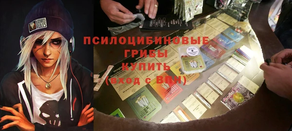 хмурый Новозыбков