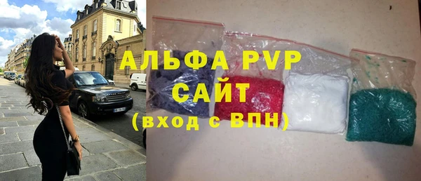 хмурый Новозыбков