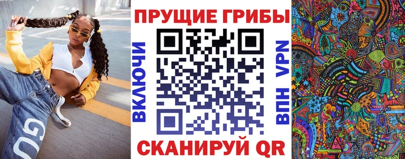 Псилоцибиновые грибы мицелий Шелехов